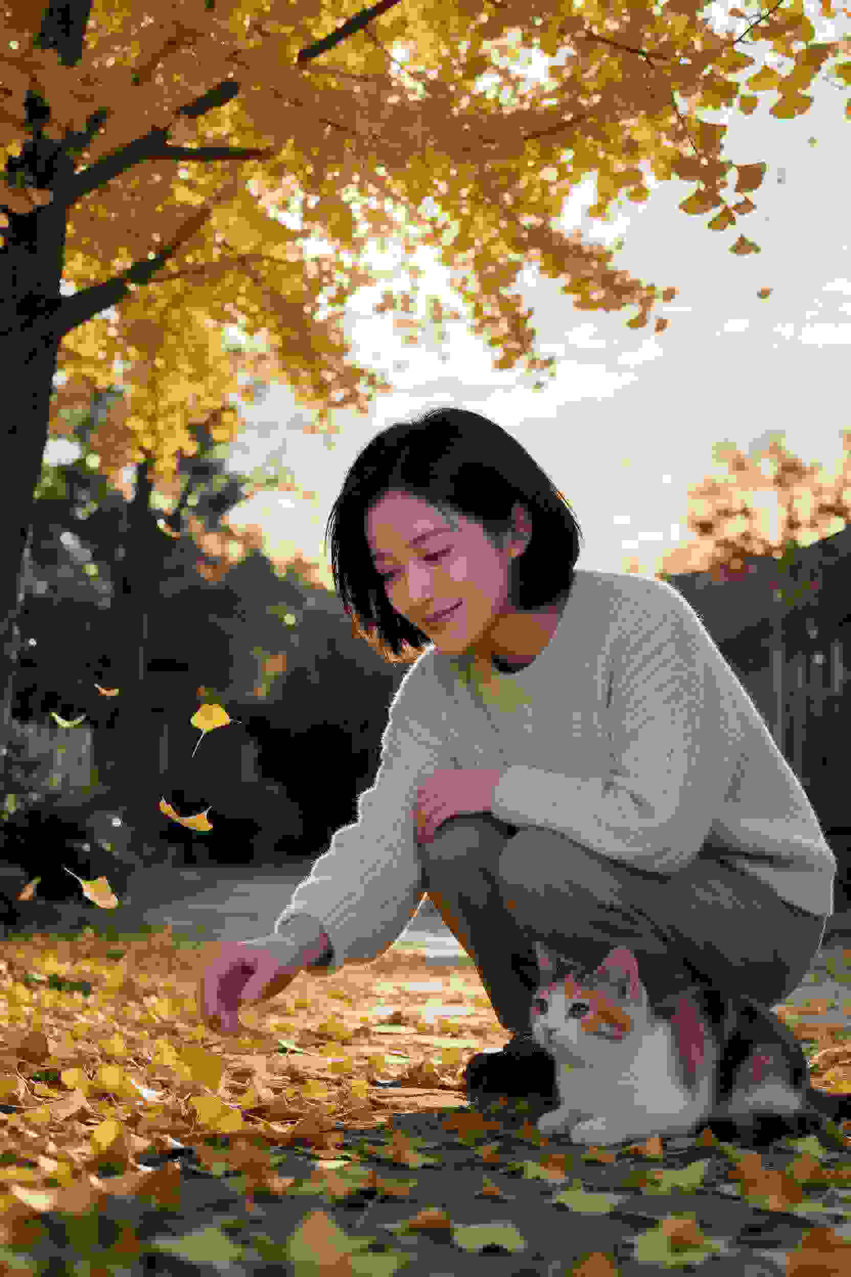 咒术回战第二季